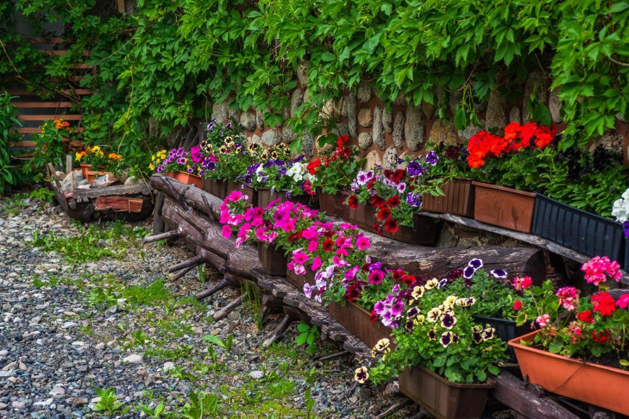 Apartmán Pokoje Z Widokiem Na Gory I Prywatny Domek Z Zadaszona Altana - Grillem I Ogniskiem. Zakopane Exteriér fotografie