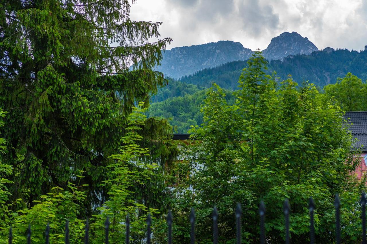 Apartmán Pokoje Z Widokiem Na Gory I Prywatny Domek Z Zadaszona Altana - Grillem I Ogniskiem. Zakopane Exteriér fotografie