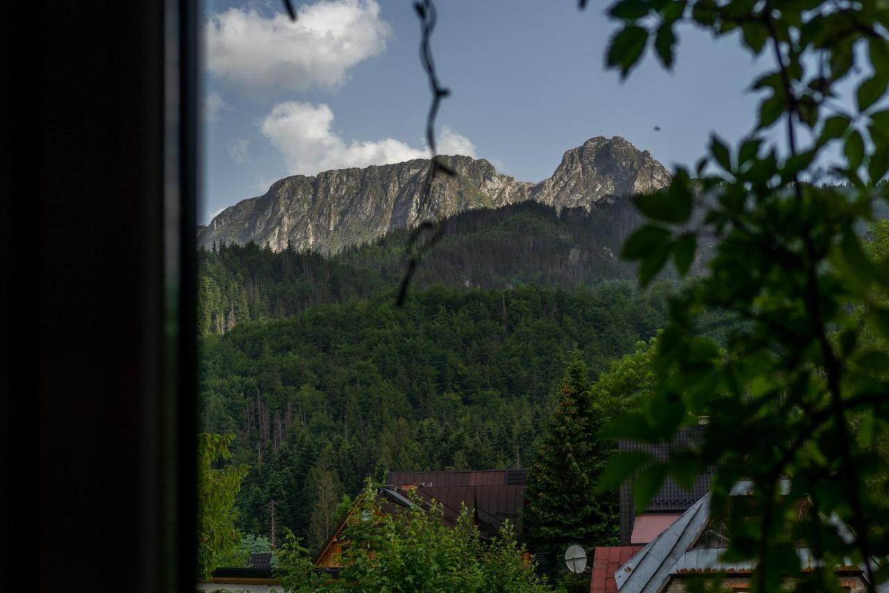 Apartmán Pokoje Z Widokiem Na Gory I Prywatny Domek Z Zadaszona Altana - Grillem I Ogniskiem. Zakopane Exteriér fotografie